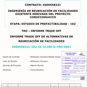 BIM (11)