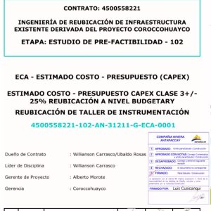 BIM (19)